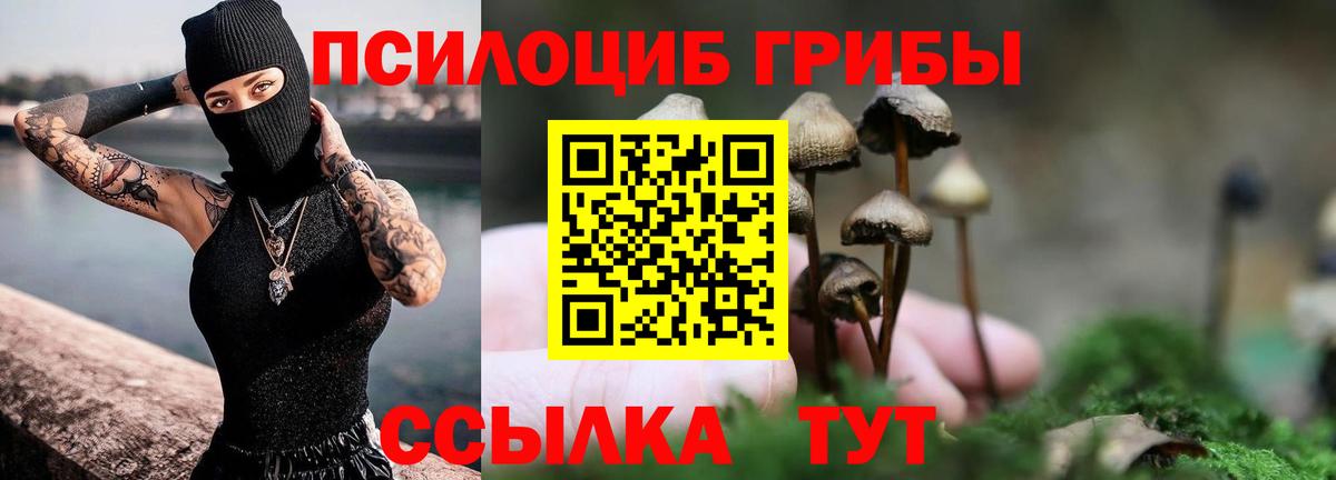 Галлюциногенные грибы ЛСД  Псилоцибиновые грибы GOLDEN TEACHER  Ишимбай  где продают   Вход с VPN 